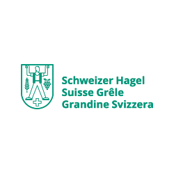 schweizer-hagel-250-px.png
