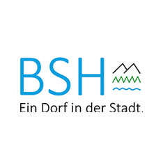 bsh-250-px-1164.png